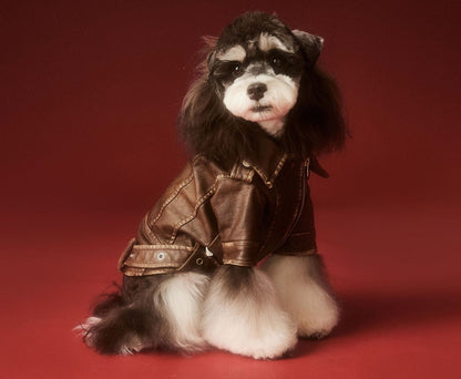 Aviator Pup Dog Leather Jacket