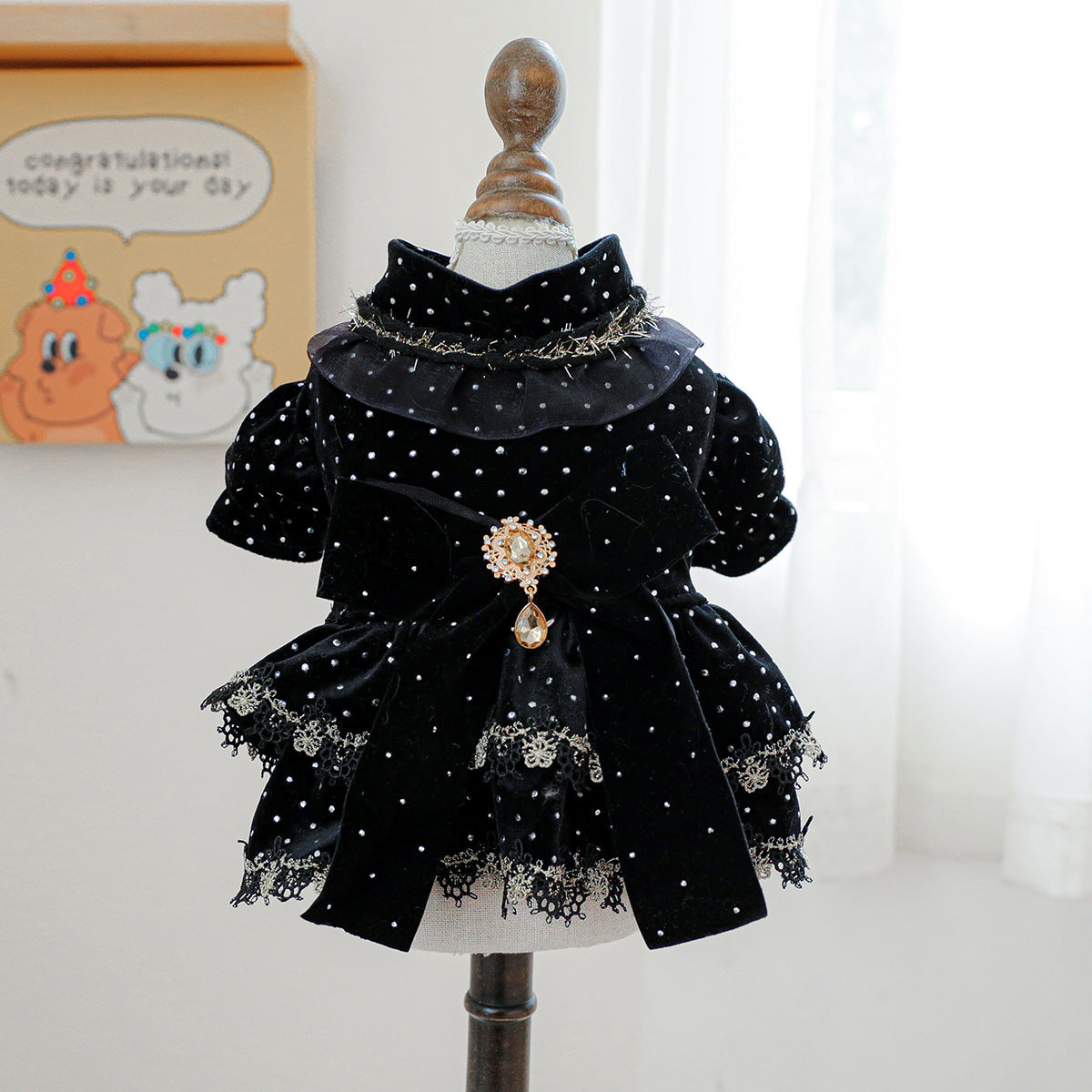 Pet dress black velvet golden dot