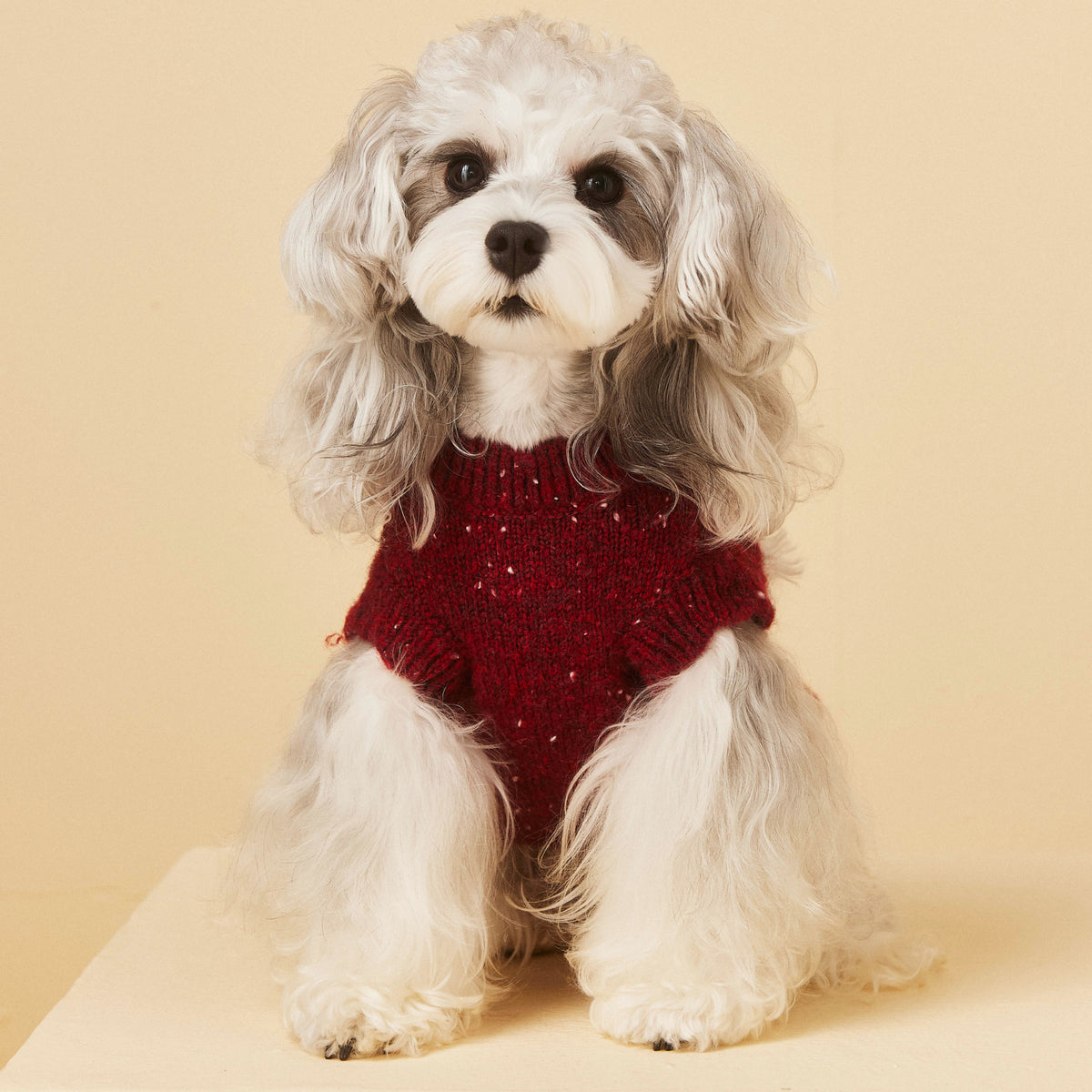 Wine Red Doggy Knit Sweater