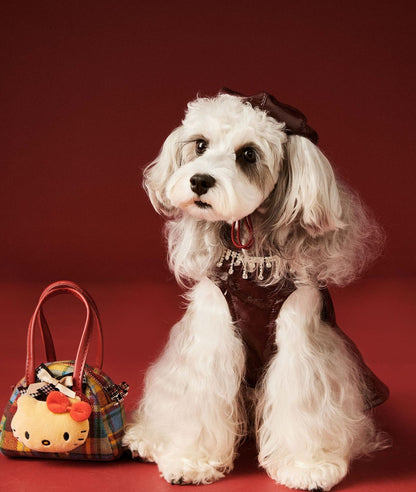 Luxe Leather Pet Beret Dress With Hat