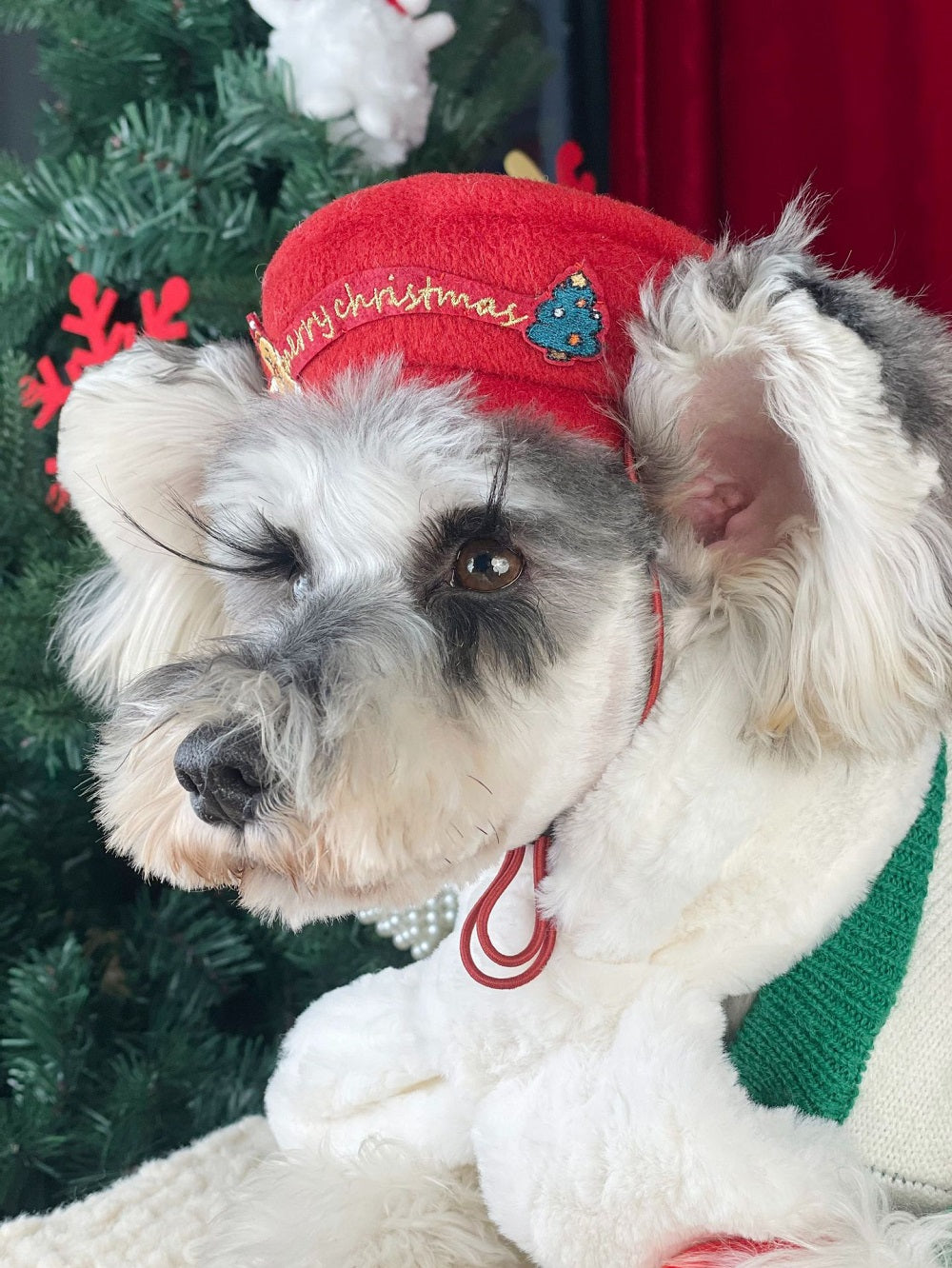 Merry Pup Beret Dog Hat