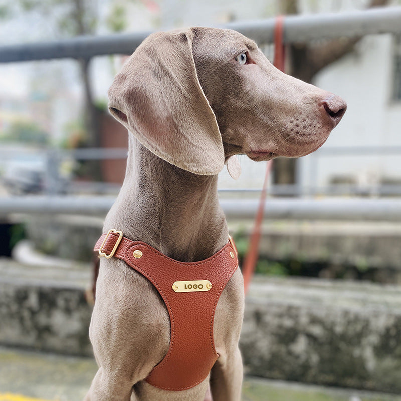 Luxury Leather Dog Harness & Leash Set – Brown/Green