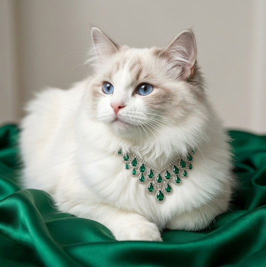 Green statement pet necklace on white cat with teardrop jewel-style accents and green satin background