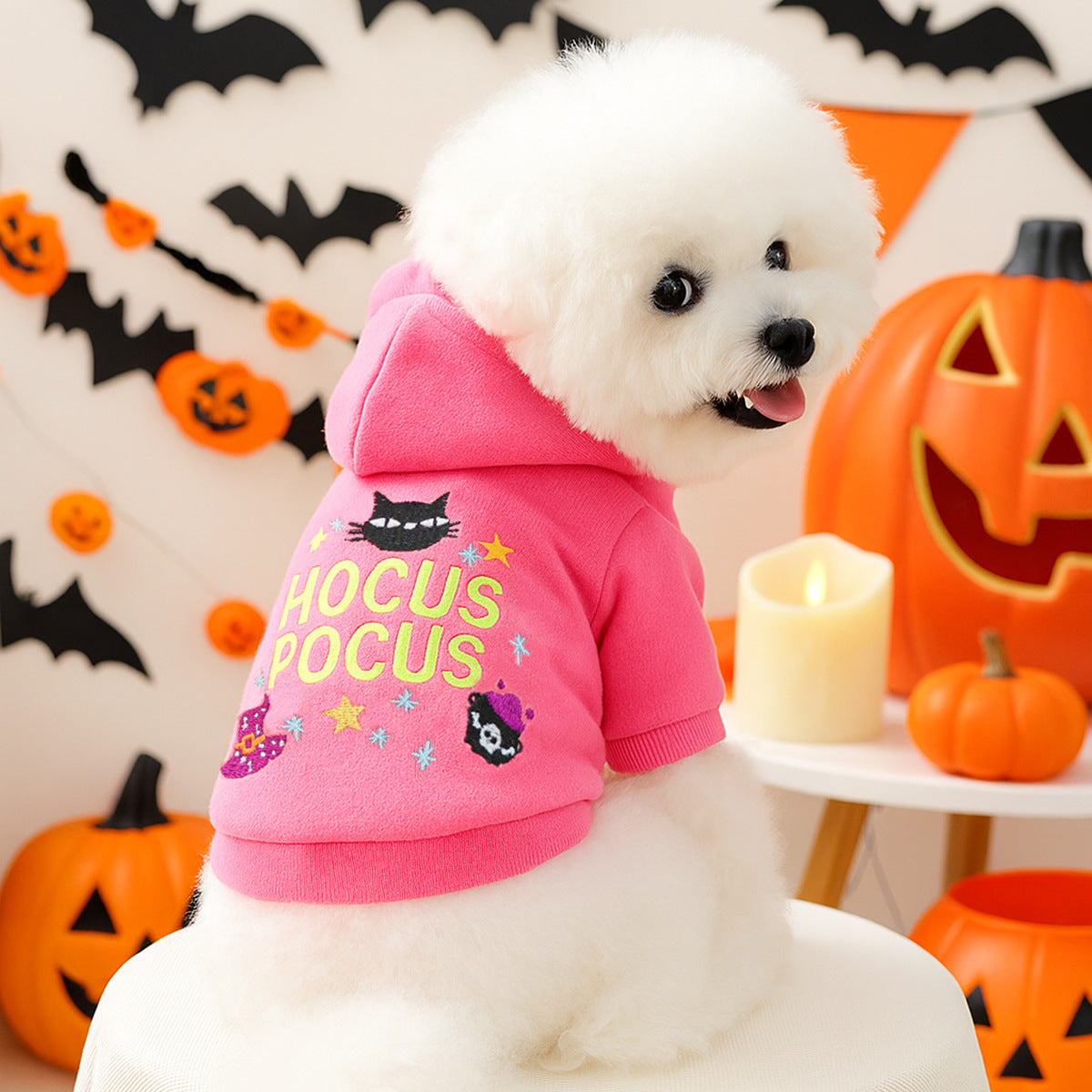 Small white dog modeling a pink embroidered Halloween pet hoodie