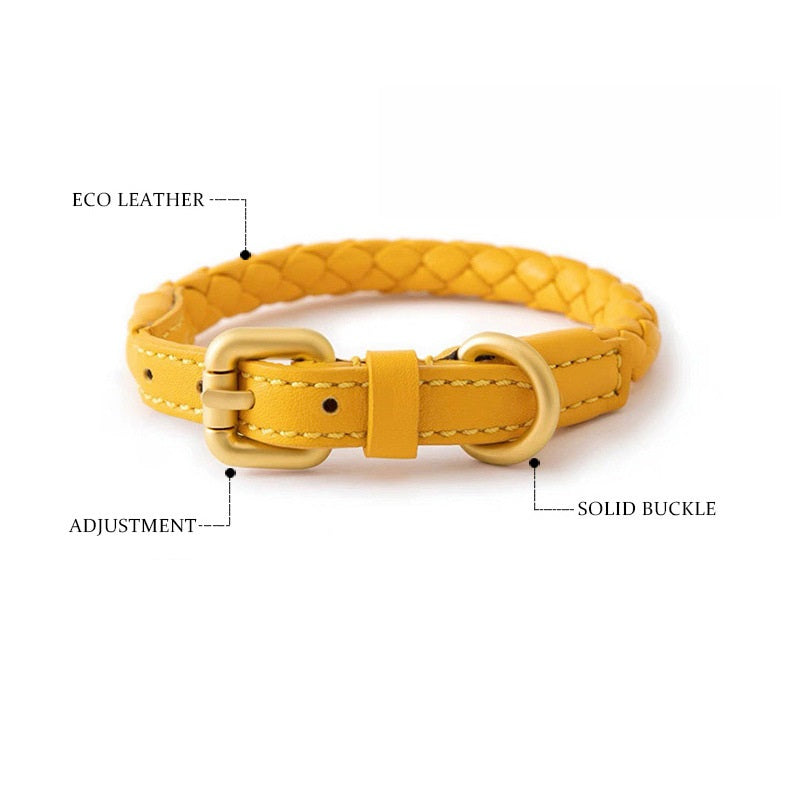 Luxury Braided Leather Dog Collar+Leash Set – Eco-Friendly, Durable, Stylish