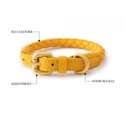 Luxury Braided Leather Dog Collar+Leash Set – Eco-Friendly, Durable, Stylish