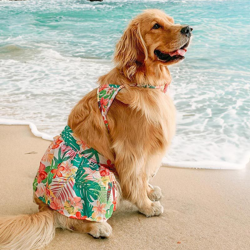 Dog bikini Hawaii beach swim wear for Large dog