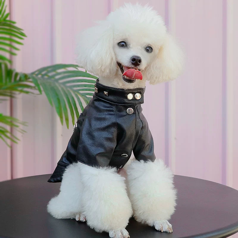 Dog Leather Jacket with Studs – Punk Rock Style - product detail view 2 of 6