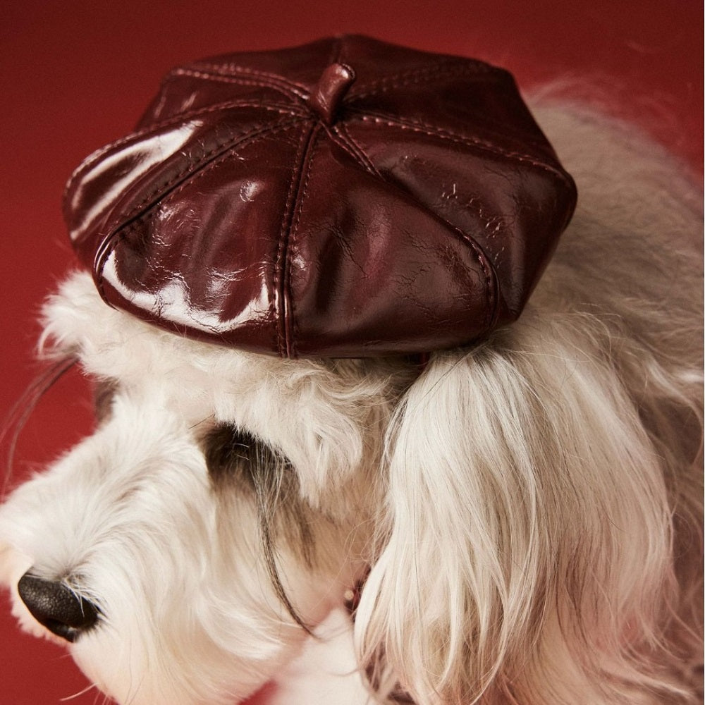 Luxe Leather Pet Beret Dress With Hat