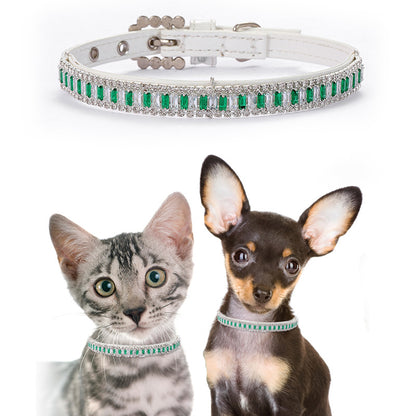 Luxury emerald crystal collar displayed on a cat and small dog for size reference