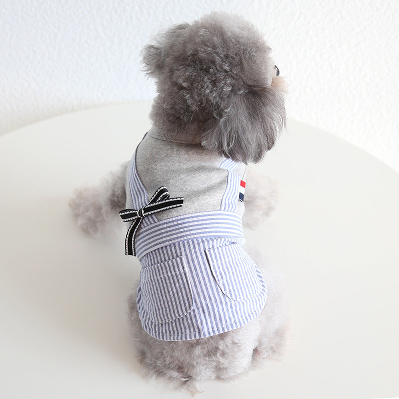 Small gray dog wearing striped pocket pet shirt from the back