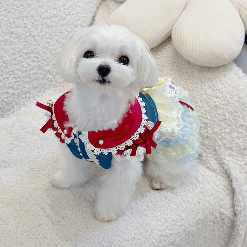 Snow Princess Pet Dress