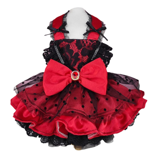 Red Lace Pet Party Dress