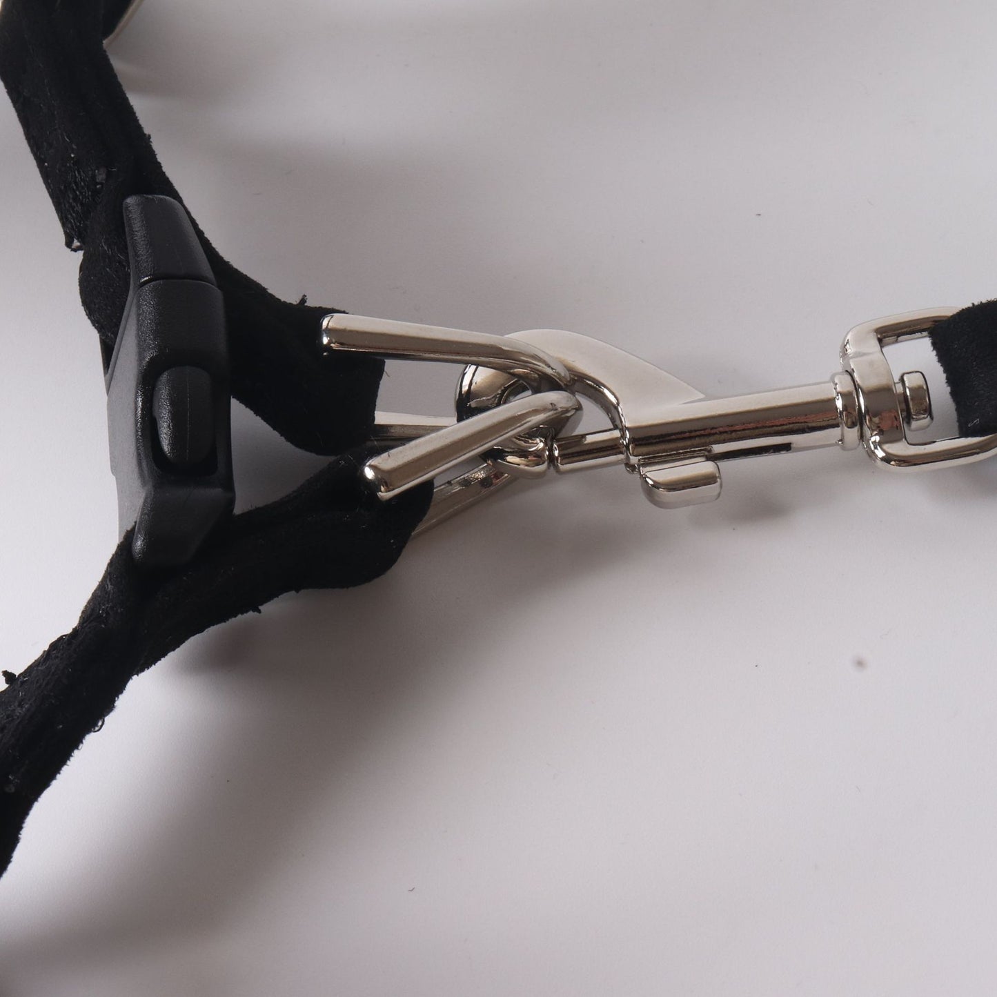 small dog leash and harness set