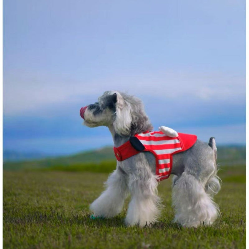 Small dog standing outdoors in the red striped wing dog harness vest