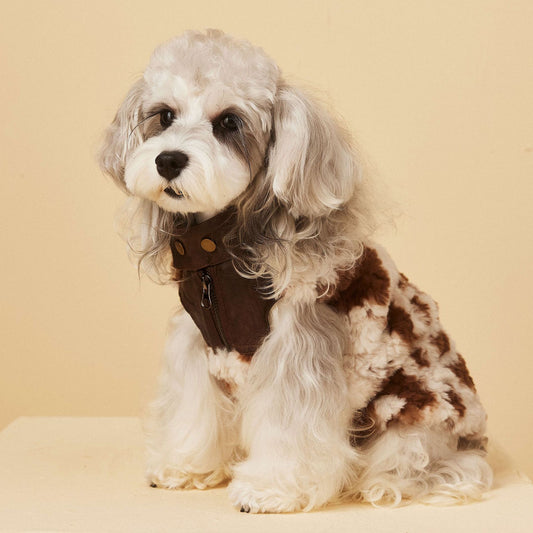 Cow Print Faux Shearling Dog Jacket