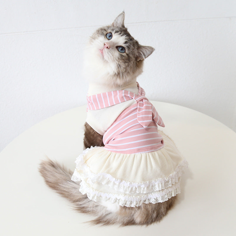 Cat wearing the pink striped sailor pet dress with cream lace skirt