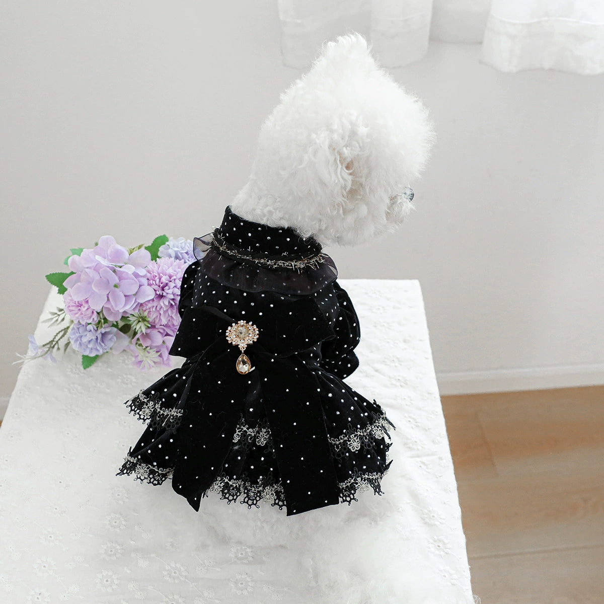 Pet dress black velvet golden dot