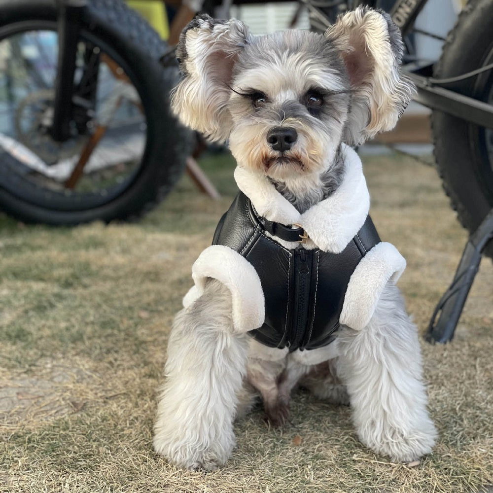 Furry Biker Pet Jacket Dog Clothing