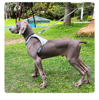 Luxury Leather Dog Harness & Leash Set – Adjustable, Comfortable & Durable