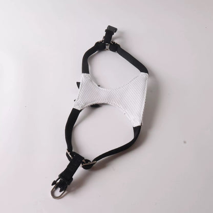 fashion dog walking harness