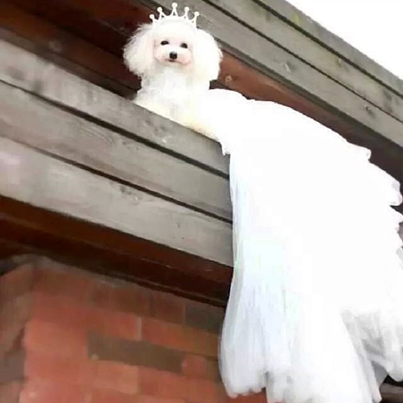 Handmade Luxury White Pet Wedding Dress Dogs Cats Bridal Gown