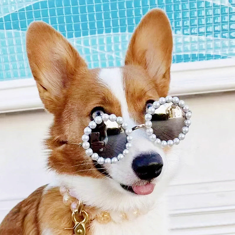 Corgi wearing pearl round pet sunglasses with dark mirrored lenses