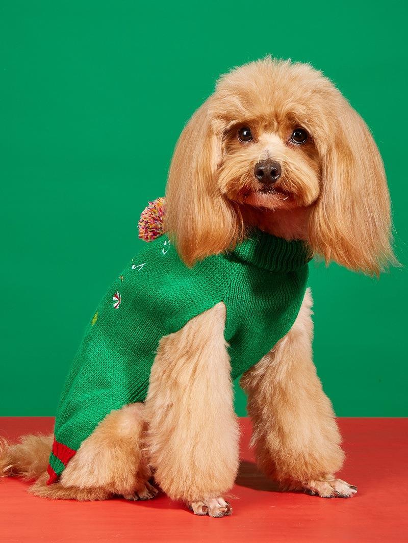 Christmas Pet Sweater • Knit Snowman & Pom-Pom Hat