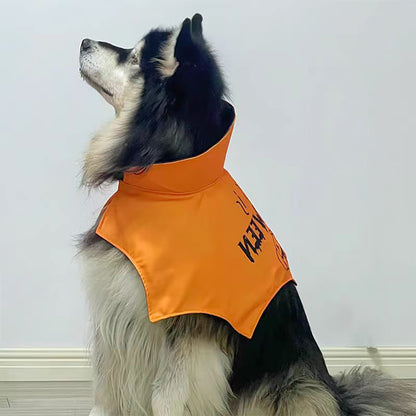 Dog Halloween Cape with Pumpkin Print & High Collar