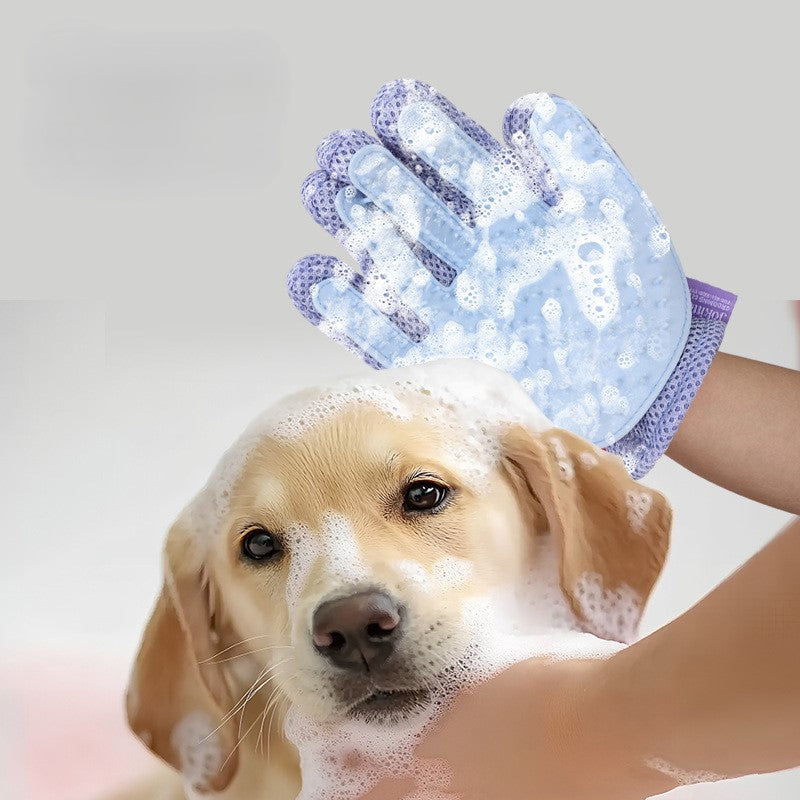 Blue pet bath glove with soap lather being used on a dog during bath time