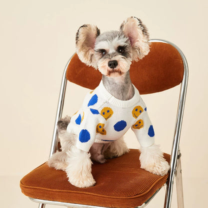 Dog sweater smile