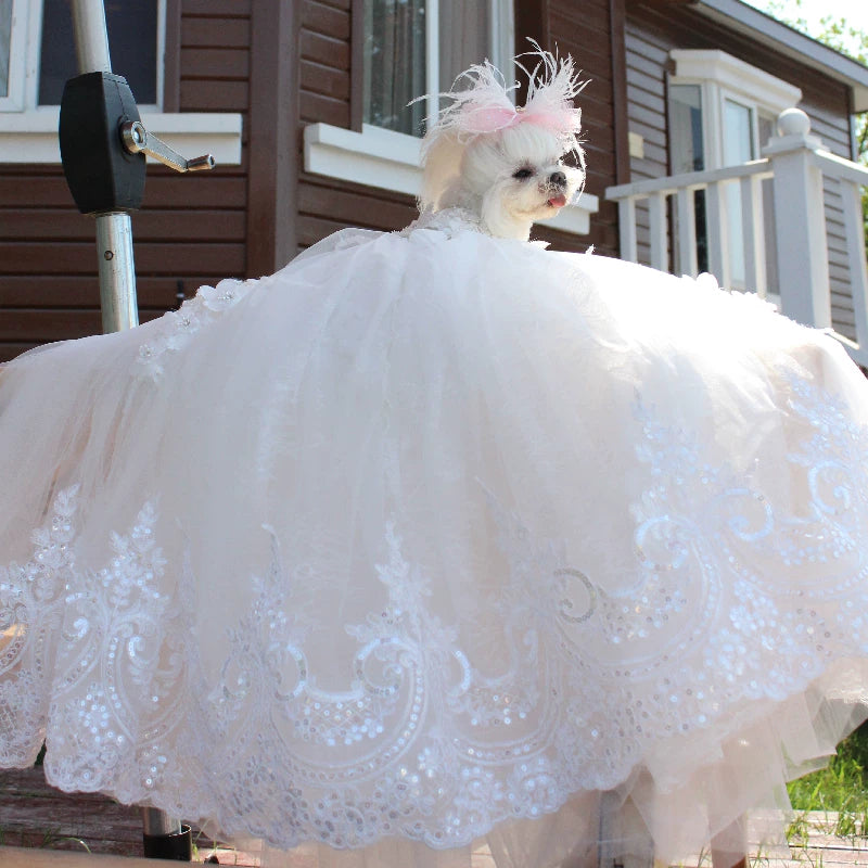 Luxury Flower Girl Dog Dress for Weddings