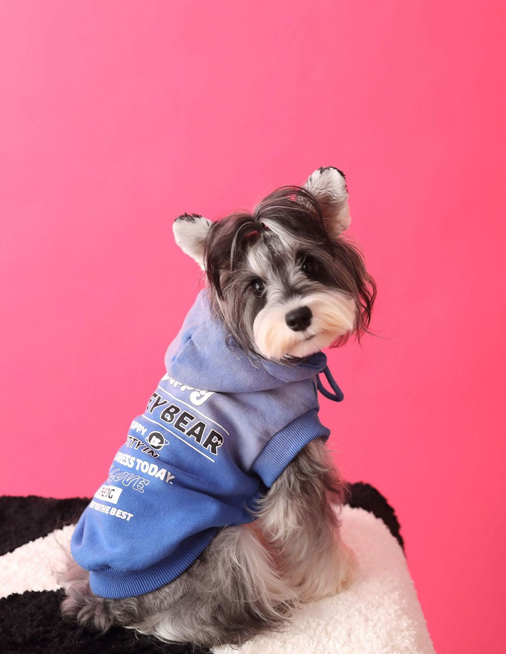 Cozy Pup Hoodie