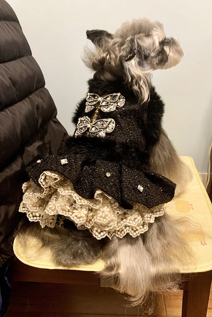 Black Butterfly Embellished Pet Dress Dog Coat