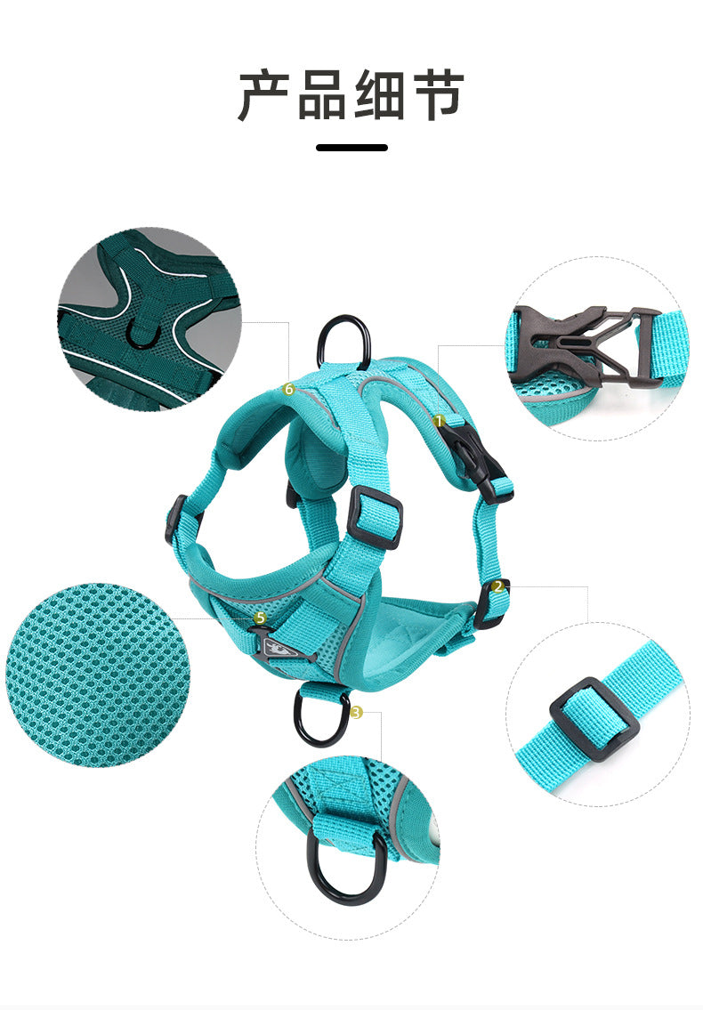 cat harness and leash set