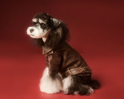 Aviator Pup Dog Leather Jacket