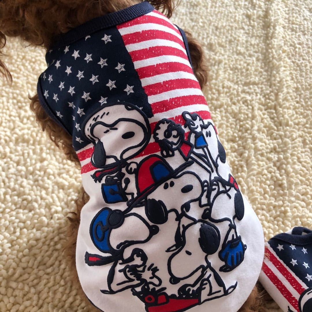Small dog wearing patriotic red white blue puppy shirt