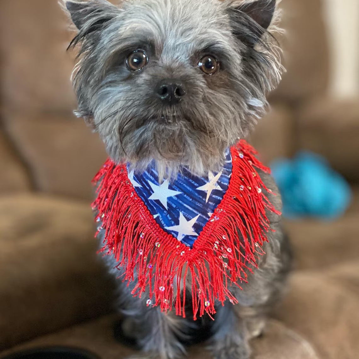 Dog bandana cowboy style