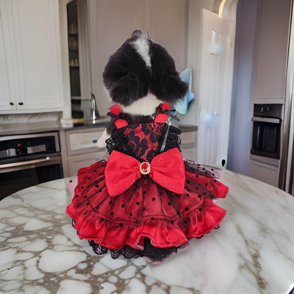 Red Lace Pet Party Dress