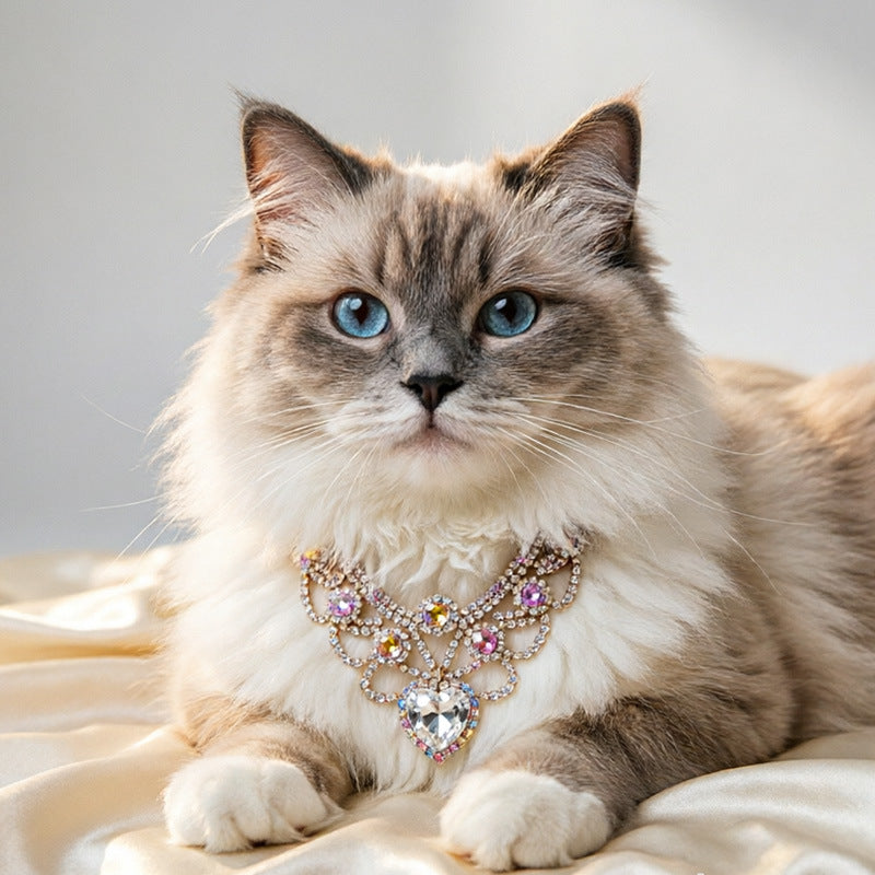 Iridescent heart pet necklace on cat for supervised dog and cat dress-up portraits