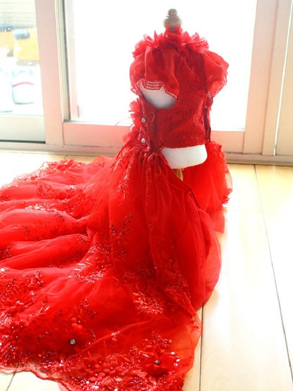 Handmade Luxury Pet Gown Red Lace Princess Dog Dress Weddings Special Occasions Photo Shoots Holiday Birthday