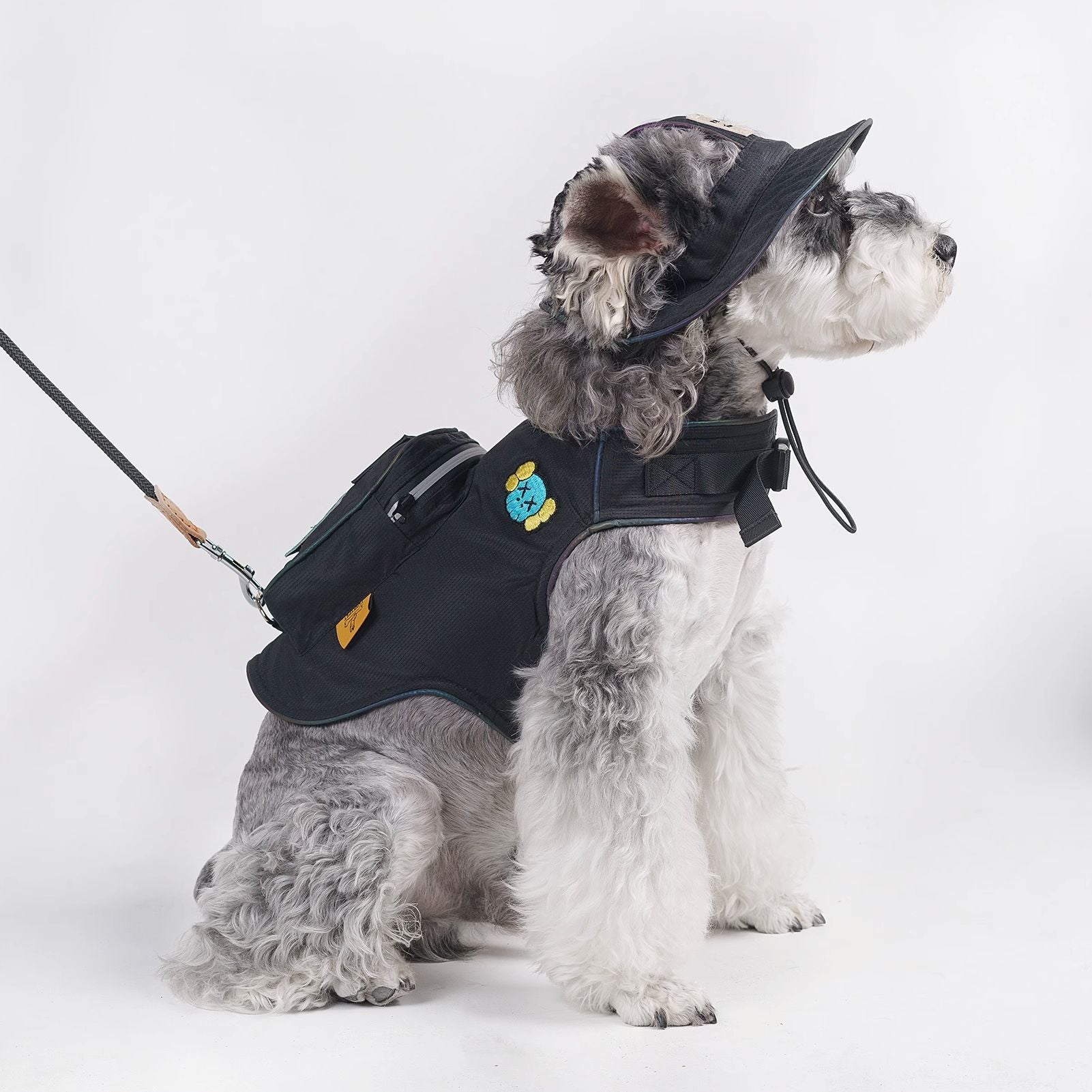 Side view of black dog backpack harness and hat set with leash attachment