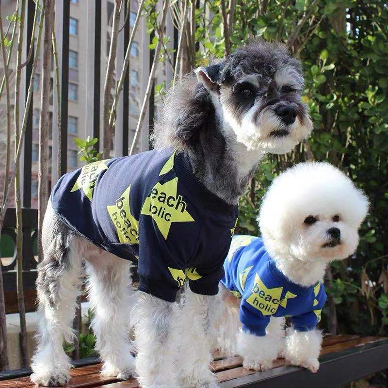 Star Print Dog Sweatshirt + Cozy Fit & Beach Holic Style