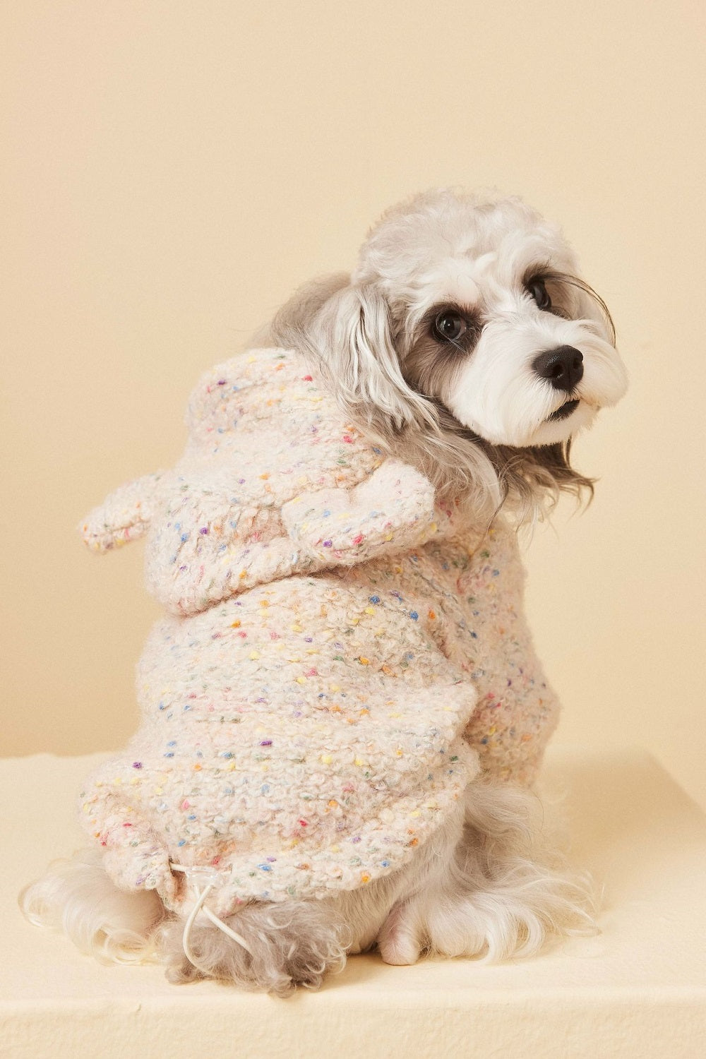 Cozy Knit Dog Sweater