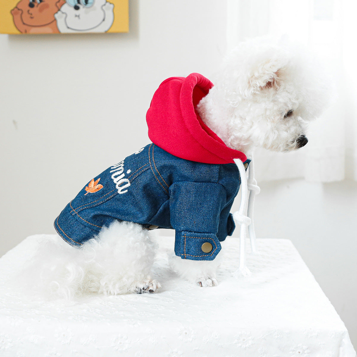 Denim Dog Hoodie Jacket Outfit - product detail view 2 of 9