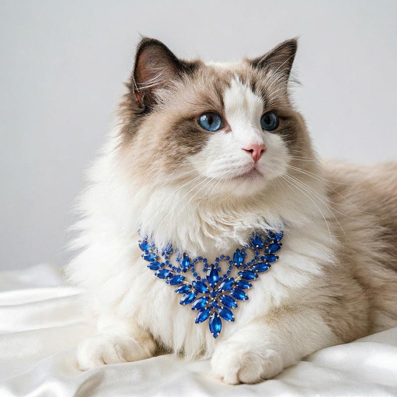 Blue statement pet necklace on white cat with layered jewel-style flower and leaf design