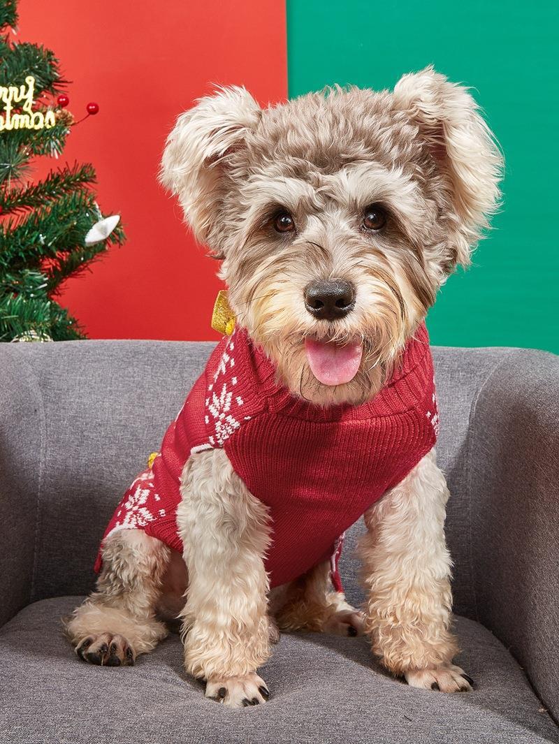 Christmas Pet Sweater • Gift Box Appliqué & Bow Knit