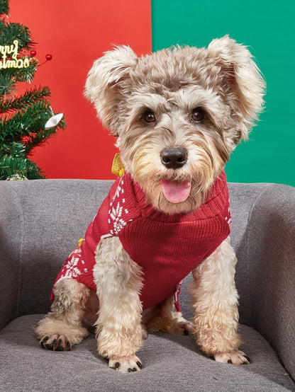 Christmas Pet Sweater • Gift Box Appliqué & Bow Knit