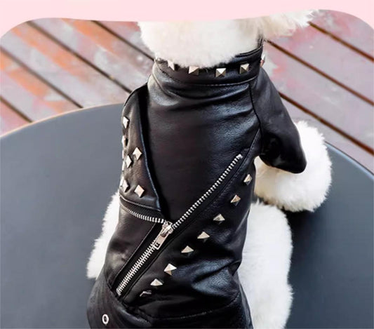 Dog bike leather jacket rivet