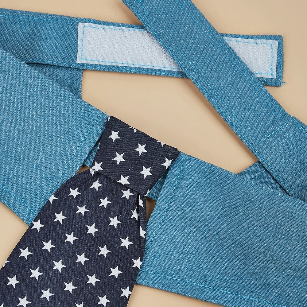 Flat lay view of patriotic dog tie collar with adjustable blue neckband and star print necktie accessory